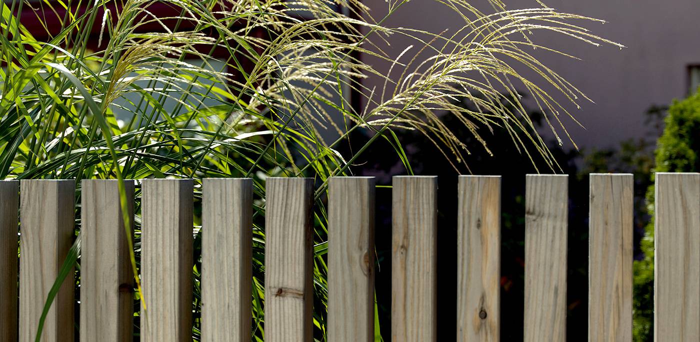 ruegg_gartendesign_felix_bruengger_B_28618.jpg