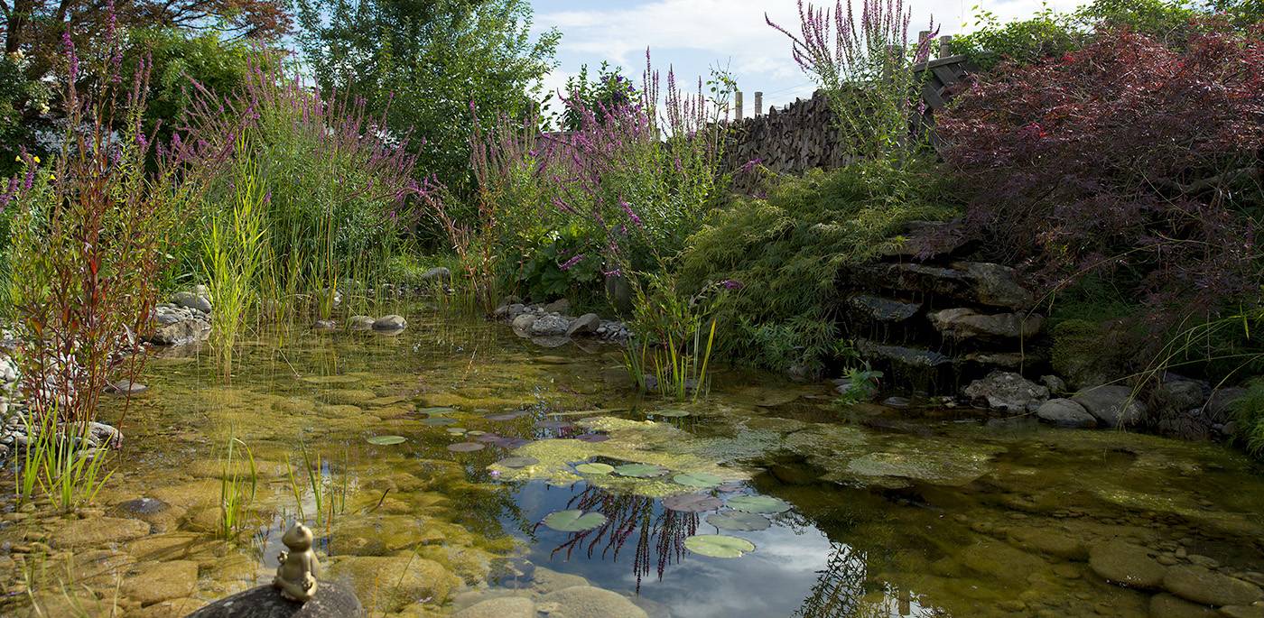 ruegg_gartendesign_felix_bruengger_B_14448.jpg